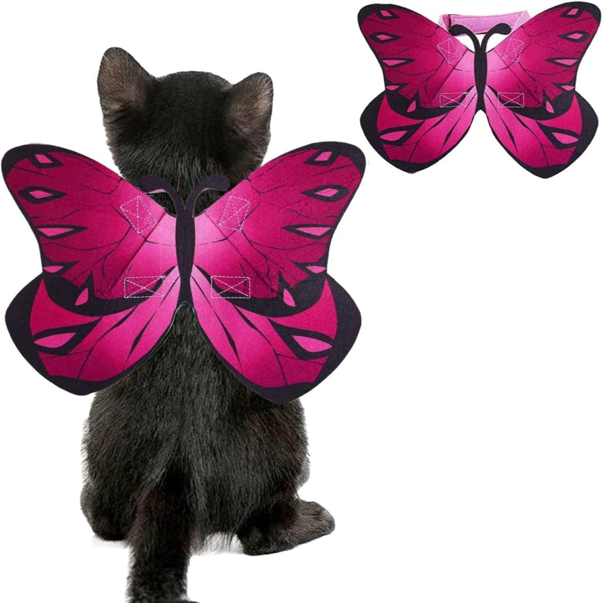 Pet Bat Wings Costume Accessory for Cats & Small Dogs – Halloween Dress-Up | Thomler