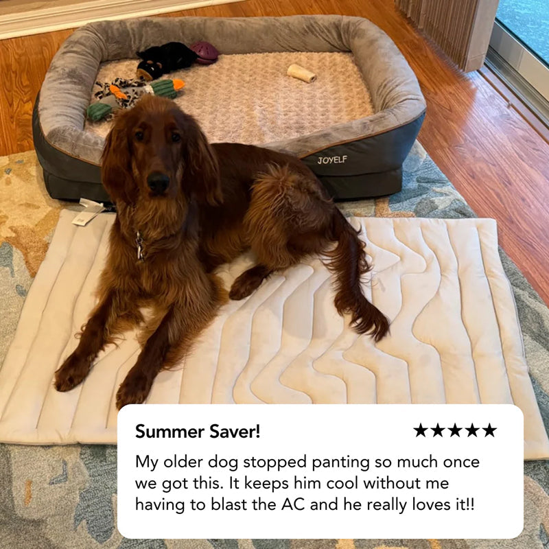 Self-Activating Pet Bed Pad for Dogs – Heat-Dissipating Resting Surface with Machine Washable Fabric & Portable Design | Thomler