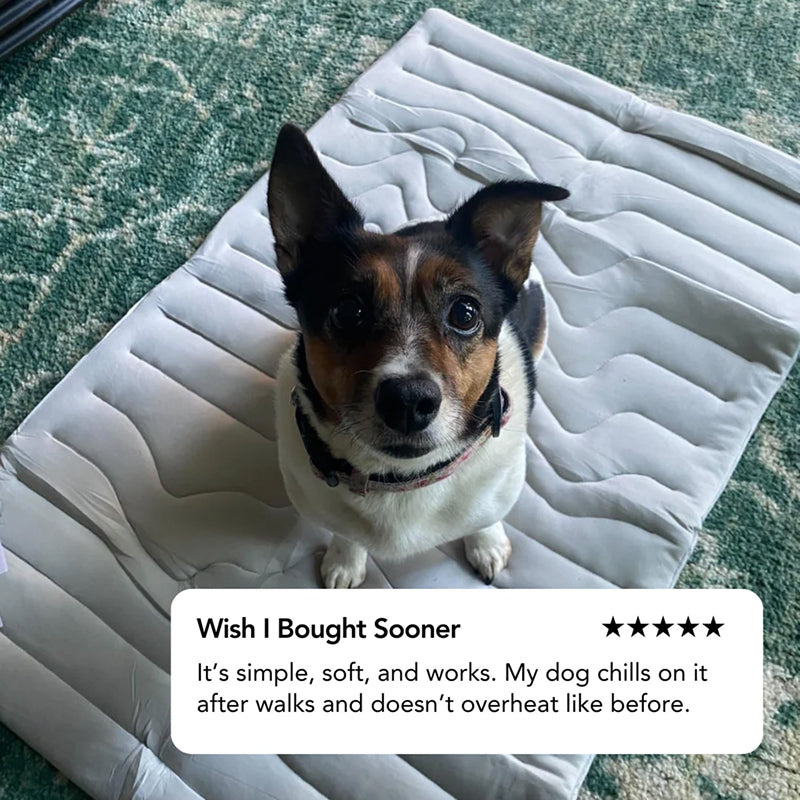 Self-Activating Pet Bed Pad for Dogs – Heat-Dissipating Resting Surface with Machine Washable Fabric & Portable Design | Thomler
