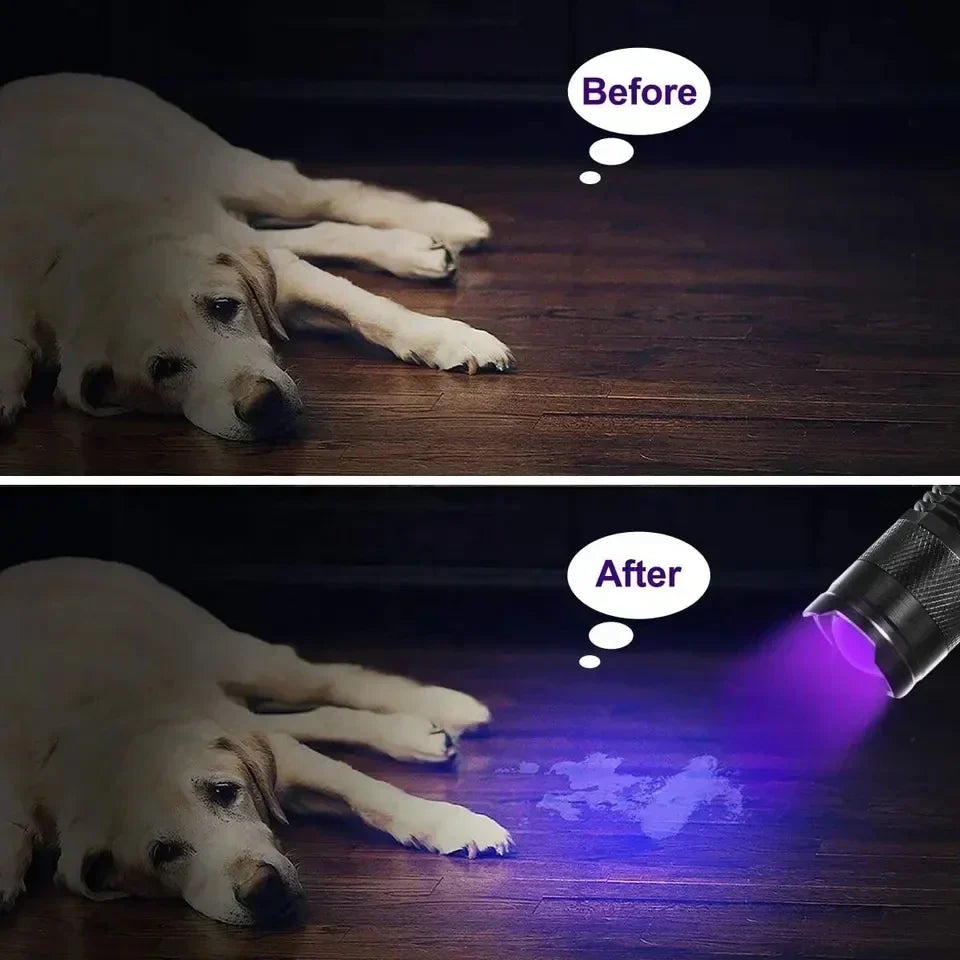 Ultraviolet Flashlight for Pet Stain Detection | UV Blacklight Torch for Carpet & Floor Inspection | Aluminum Handheld Light for Home & Prof | Thomler