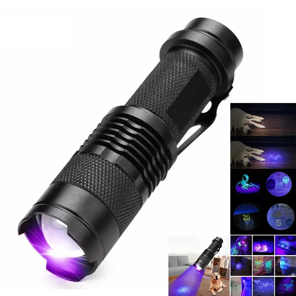 Ultraviolet Flashlight for Pet Stain Detection | UV Blacklight Torch for Carpet & Floor Inspection | Aluminum Handheld Light for Home & Prof | Thomler