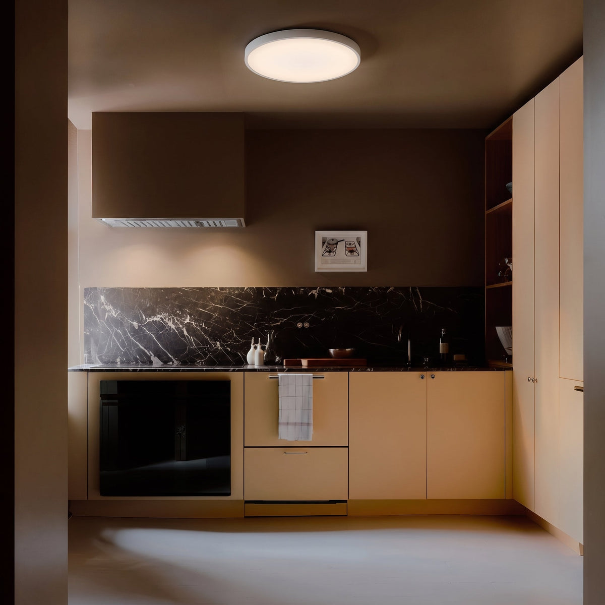 Ultra-Slim LED Ceiling Light Flush Mount Modern Minimalist Design for Bedroom Kitchen Living Room Black White 9 10.5 14.5 Inch | Thomler