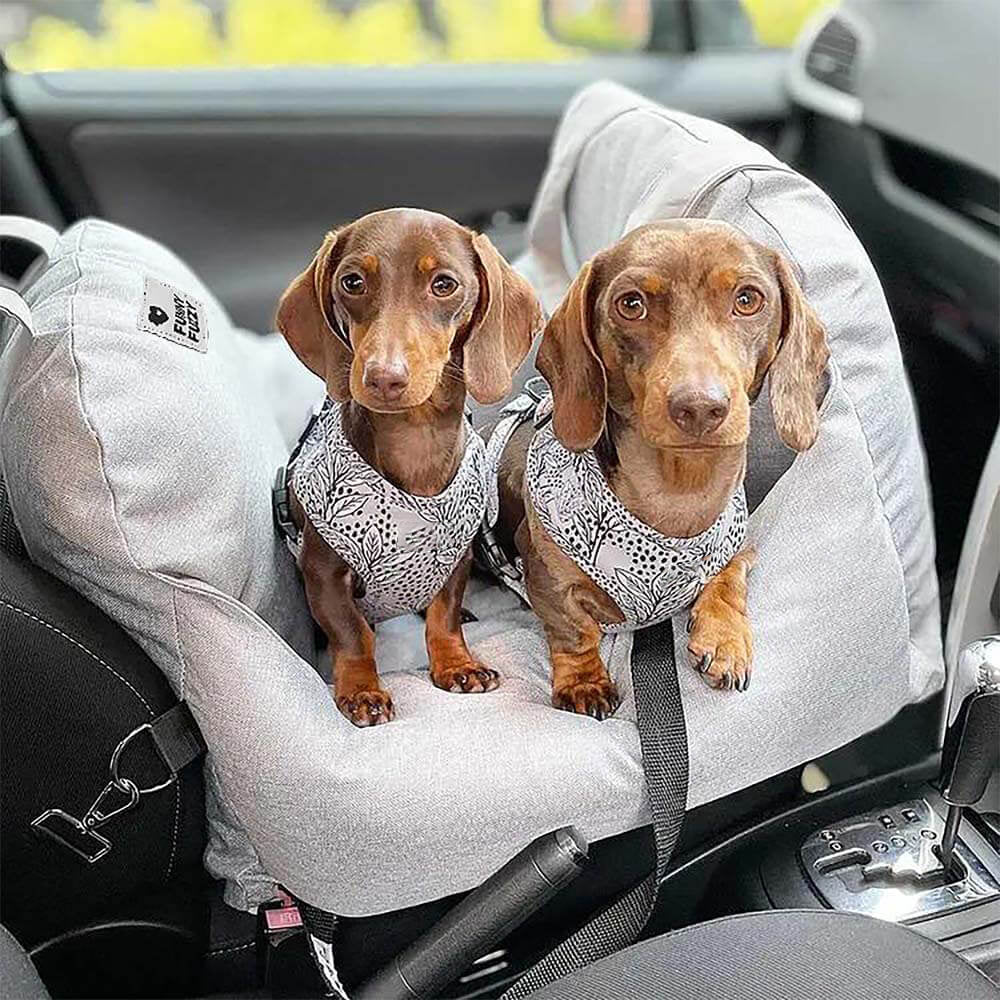 Portable Pet Carrier Booster Seat with Safety Harness and Washable Cover for Small Dogs | Thomler