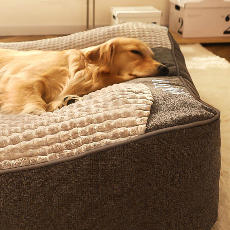 Orthopedic Dog Bed with Raised Bolster Pillow – Plush Crystal Velvet Pet Cushion for Joint Support, Machine Washable Cover for Small to | Thomler