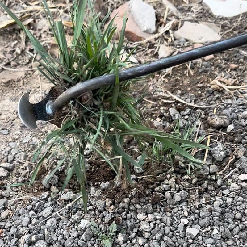 Stand-Up Weeding Tool with Ergonomic Grip – Metal Garden Weeder for Flower Beds, Pathways & Lawns – Precision Root Removal | Thomler