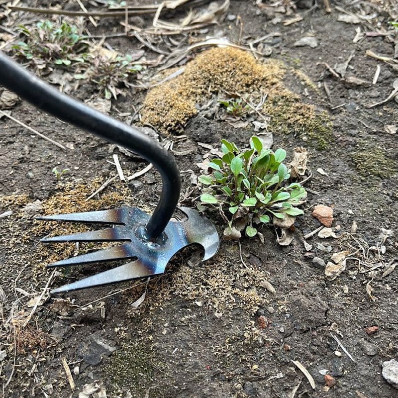 Stand-Up Weeding Tool with Ergonomic Grip – Metal Garden Weeder for Flower Beds, Pathways & Lawns – Precision Root Removal | Thomler