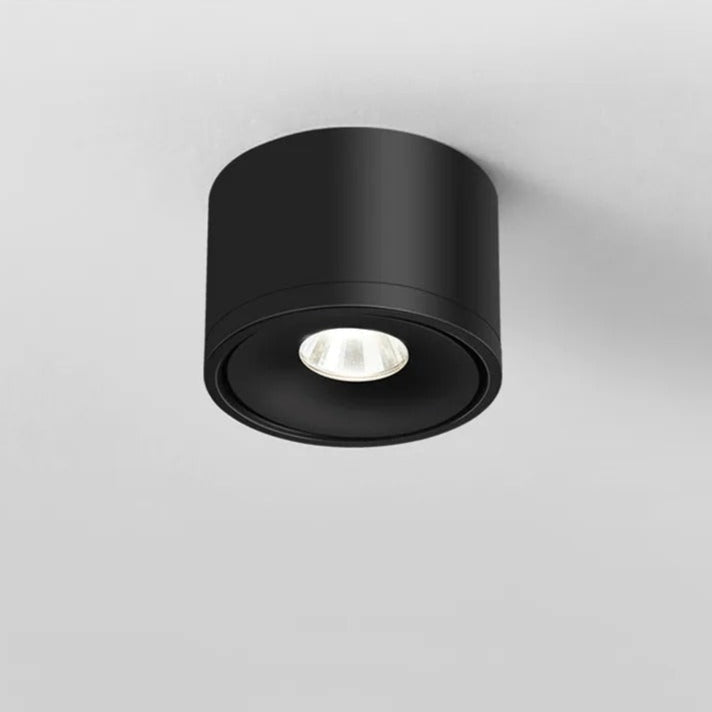 Adjustable Directional LED Ceiling Spotlight – Rotating Track Light for Accent Lighting | Thomler