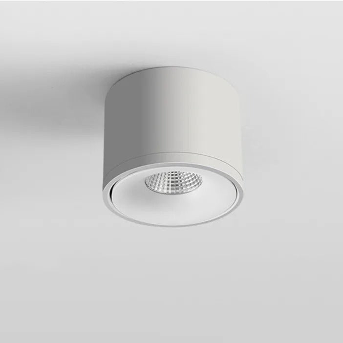 Adjustable Directional LED Ceiling Spotlight – Rotating Track Light for Accent Lighting | Thomler