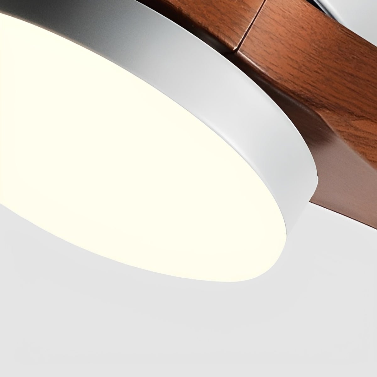 Variable-Speed Ceiling Fan with Integrated LED Light and Reversible Airflow | Modern DC Motor | 38-56 in Diameter | Thomler