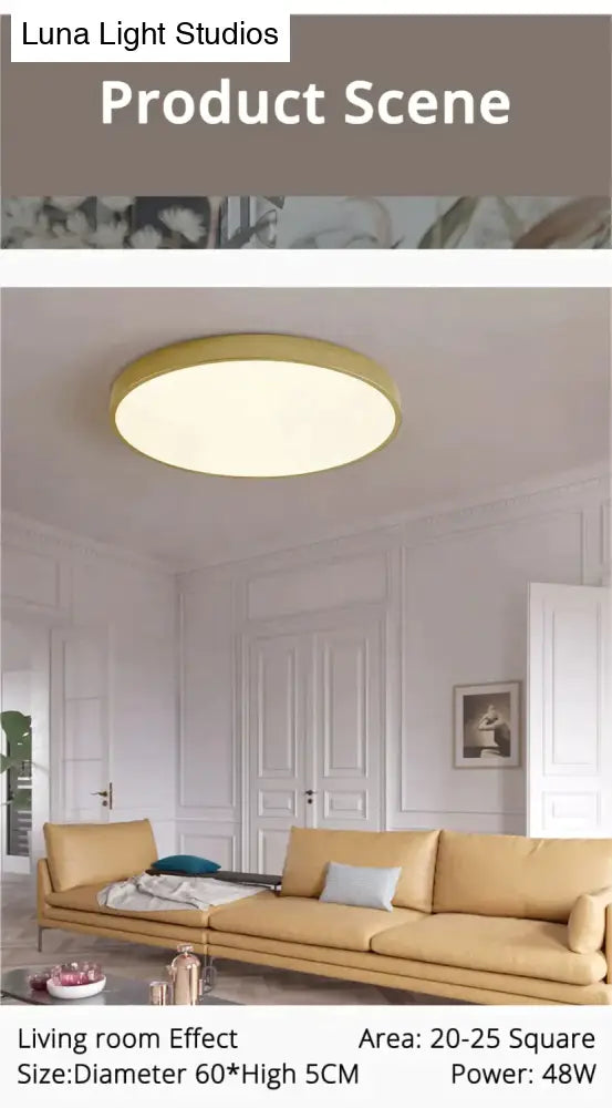 Dimmable LED Ceiling Light Fixture with Remote Control – Modern Flush Mount Design for Bedroom, Living Room & Kitchen | Thomler