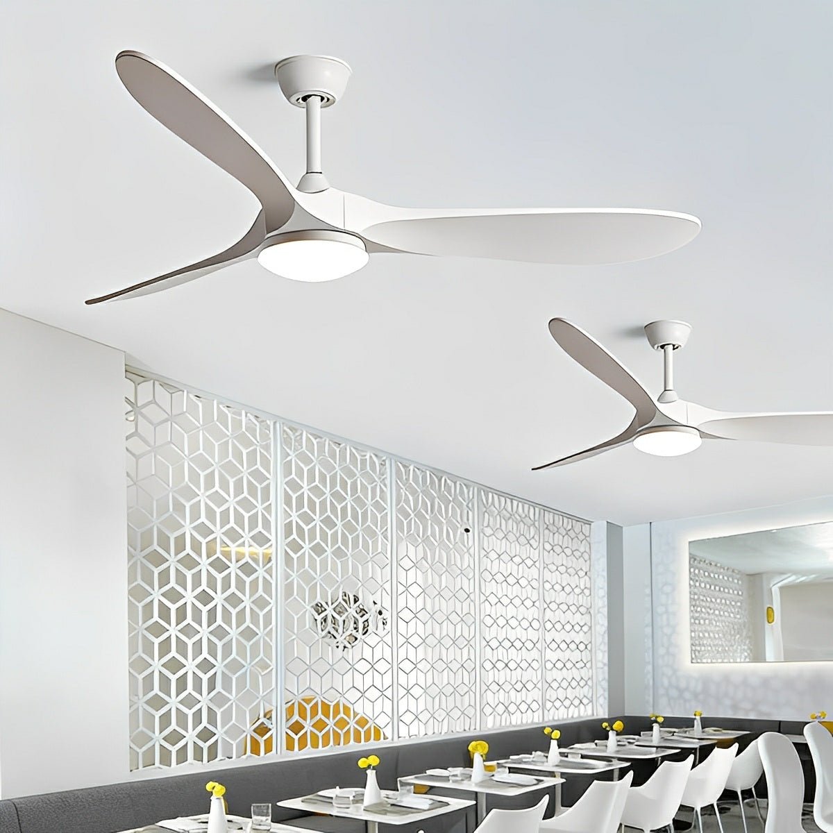 Reversible DC Ceiling Fan with LED Light & Remote – 6-Speed Airflow for Year-Round Living Room, Bedroom & Dining Room Comfort | Thomler