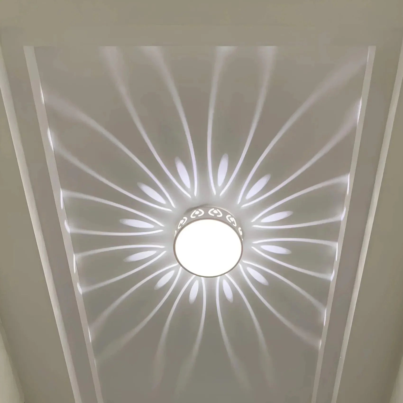 Ceiling Light Crystal Acrylic Integrated LED Warm Or Cool White Hallway Entrance Decorative Surface Mounted Lamp | Thomler