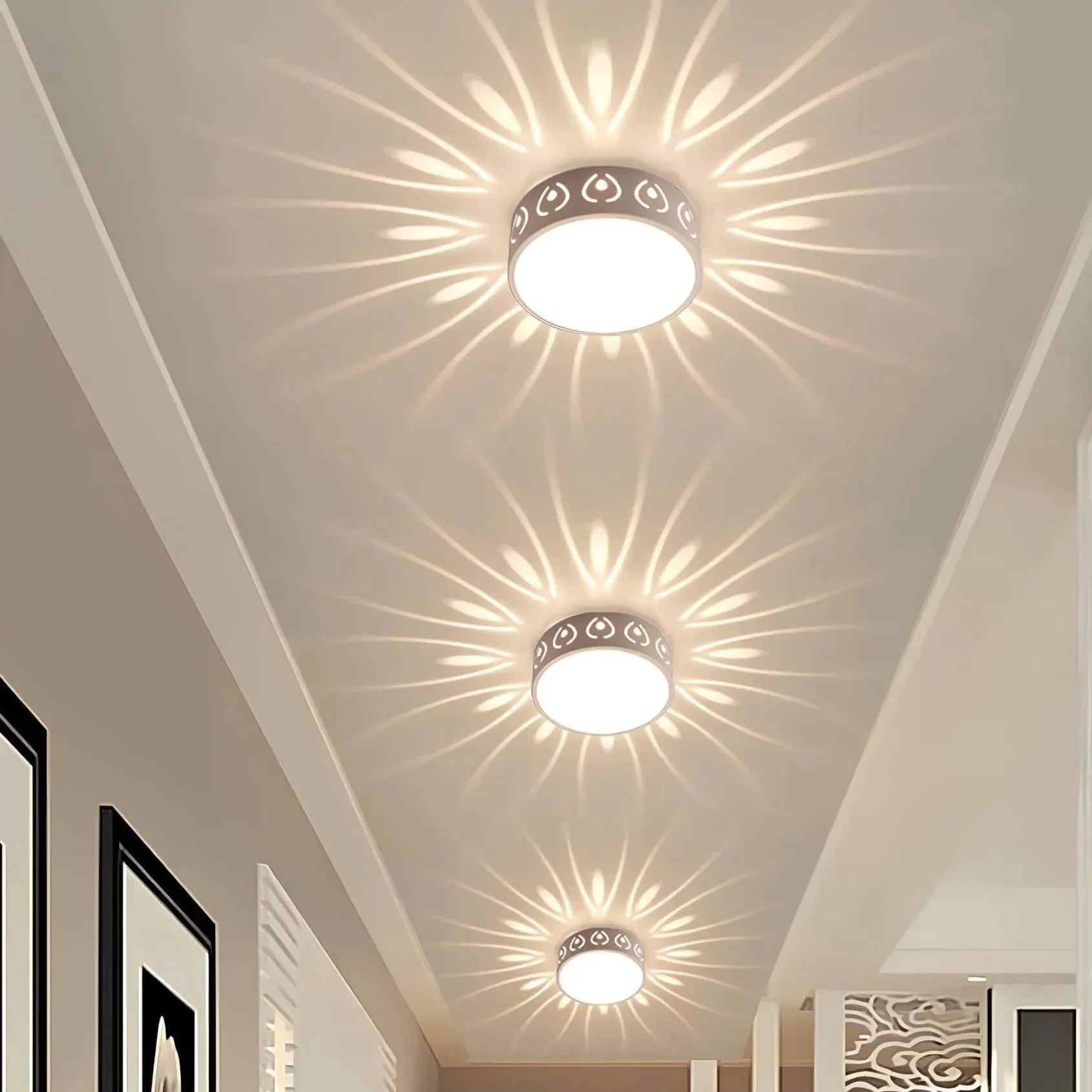 Ceiling Light Crystal Acrylic Integrated LED Warm Or Cool White Hallway Entrance Decorative Surface Mounted Lamp | Thomler