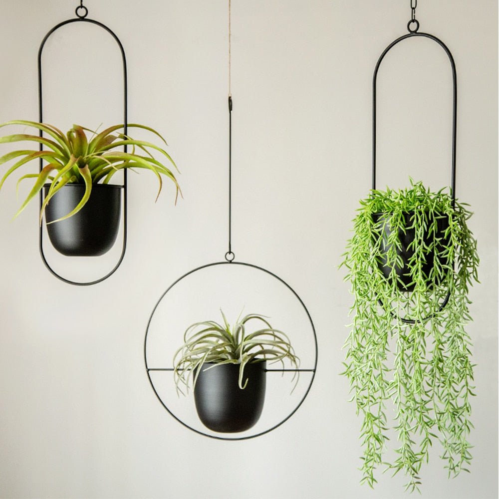 Hanging Plant Pot Iron 8 in Indoor Outdoor Modern Decor Floating Style Minimalist Planter | Thomler