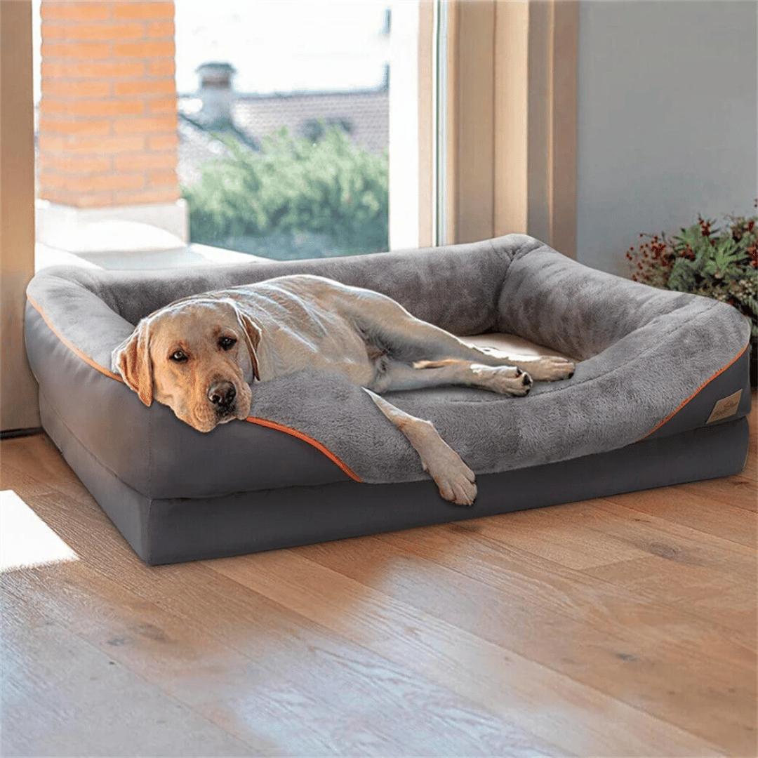 Premium Joint-Support Dog Bed with High-Density Foam Core for Big Pups – Extra-Large Cushioned Bolster Pet Lounger with Removable Washable | Thomler