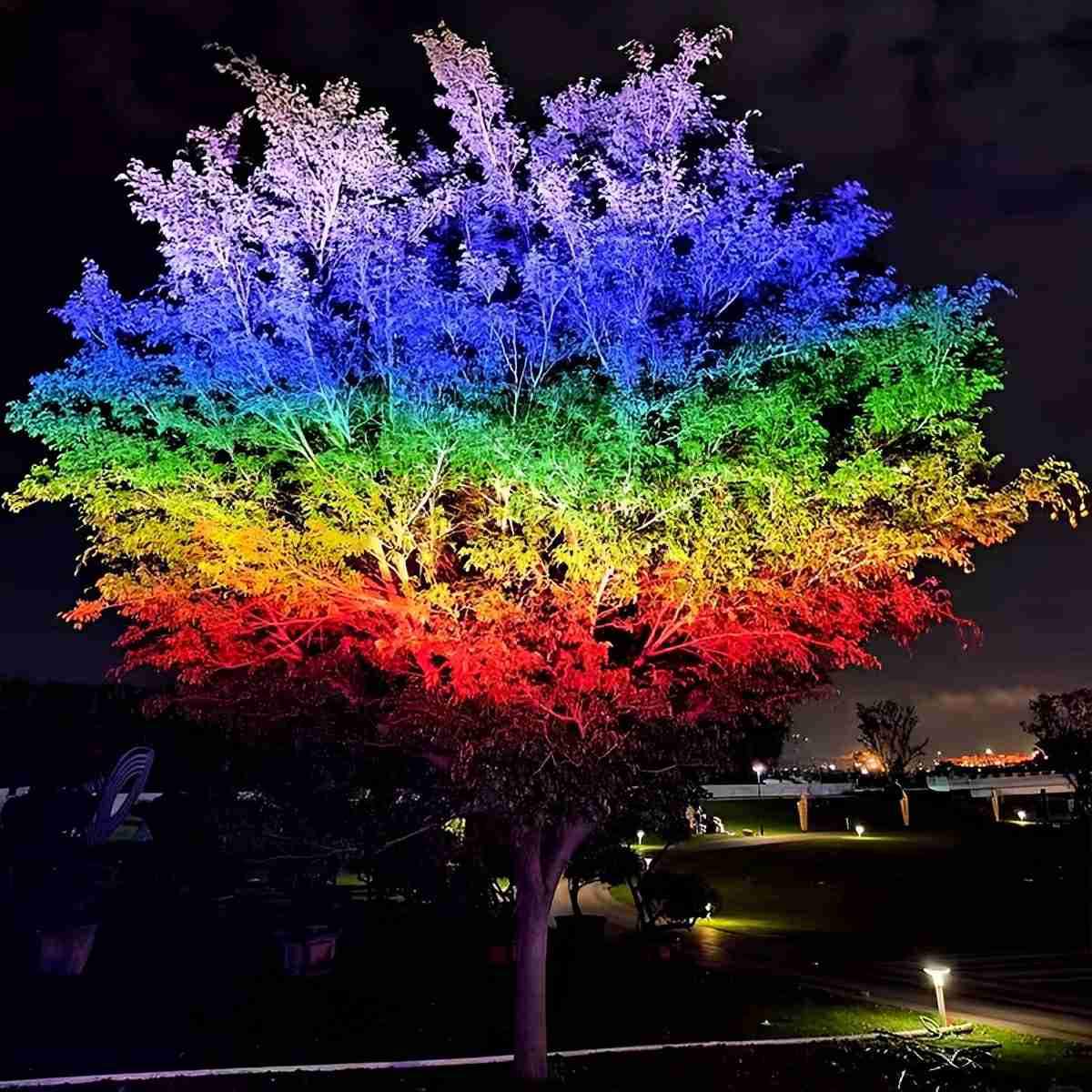 Color-Shifting Garden Uplight for Landscaping | Weatherproof Aluminum Fixture | 48W–72W | Hardwire Install | Thomler