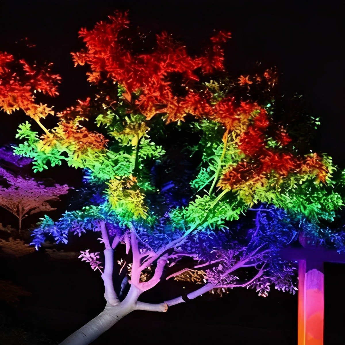 Color-Shifting Garden Uplight for Landscaping | Weatherproof Aluminum Fixture | 48W–72W | Hardwire Install | Thomler