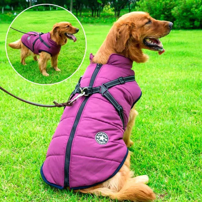 Cold-Weather Dog Coat with Fleece Lining & Leash Attachment — Weatherproof Outerwear for Active Pups, All Breeds, Reflective Safety Trim | Thomler