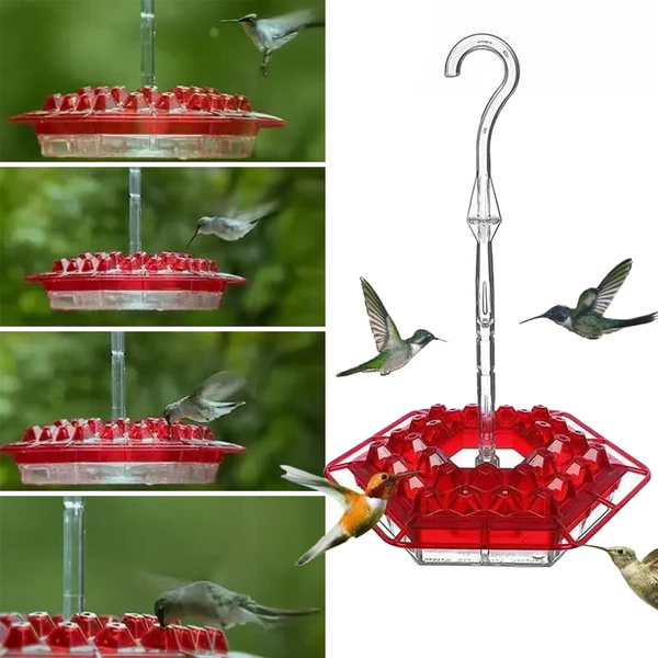 Hexagonal Nectar Station for Hummingbirds – 30 Feeding Openings, Built-In Insect Barrier, 12 oz Capacity, Weather-Proof Design for | Thomler