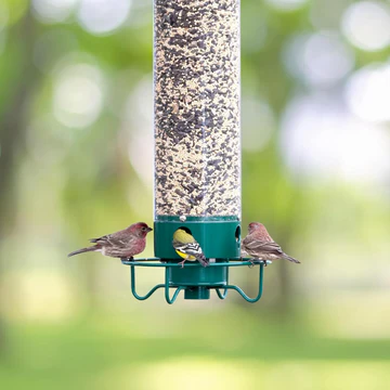 Weight-Activated Spinning Bird Feeder for Backyard Wildlife Watching Wild Songbird Seed Station Hanging Metal Outdoor Garden Feeding Station | Thomler