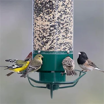 Weight-Activated Spinning Bird Feeder for Backyard Wildlife Watching Wild Songbird Seed Station Hanging Metal Outdoor Garden Feeding Station | Thomler