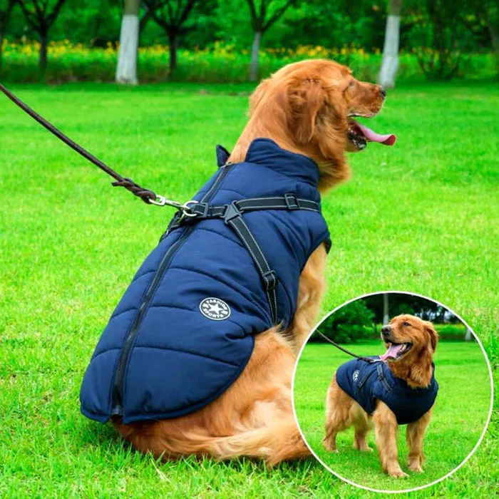 Cold-Weather Dog Coat with Fleece Lining & Leash Attachment — Weatherproof Outerwear for Active Pups, All Breeds, Reflective Safety Trim | Thomler