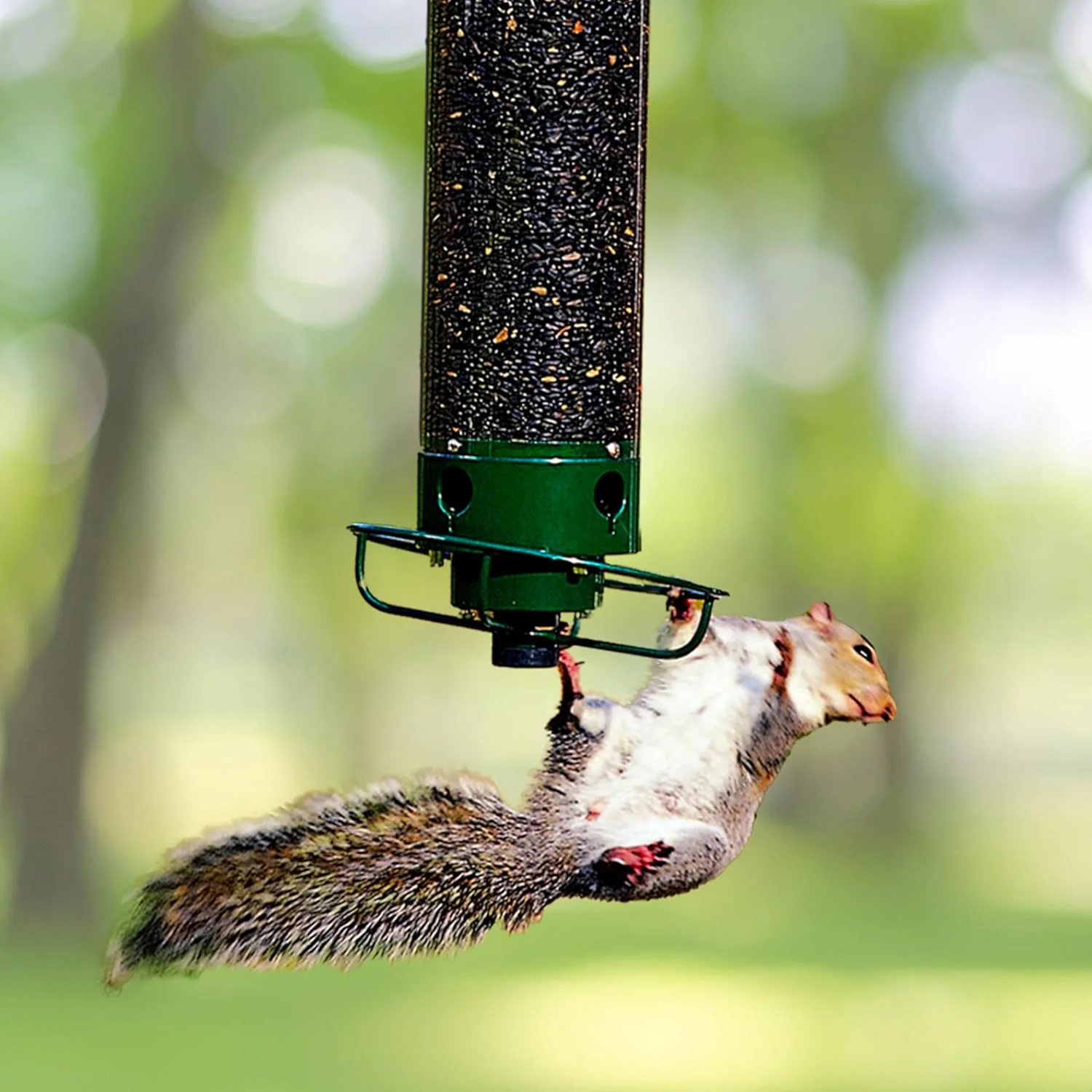 Weight-Activated Spinning Bird Feeder for Backyard Wildlife Watching Wild Songbird Seed Station Hanging Metal Outdoor Garden Feeding Station | Thomler