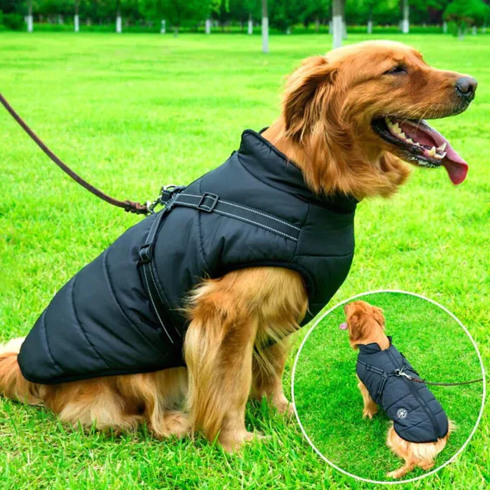 Cold-Weather Dog Coat with Sherpa Lining & Leash Harness – All-Breed Insulated Pet Jacket for Rain, Snow & Wind | Thomler