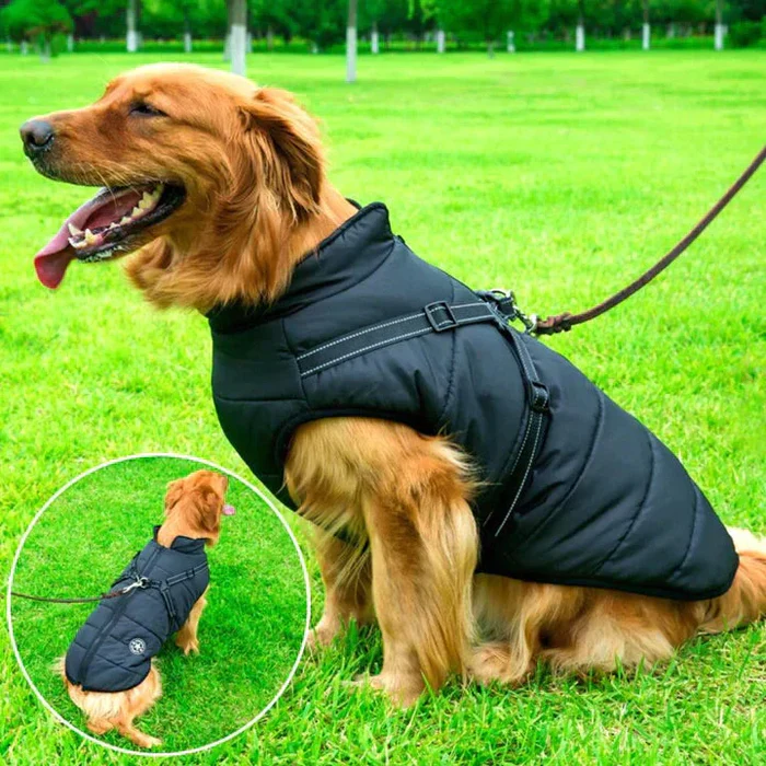 Cold-Weather Dog Coat with Fleece Lining & Leash Attachment — Weatherproof Outerwear for Active Pups, All Breeds, Reflective Safety Trim | Thomler