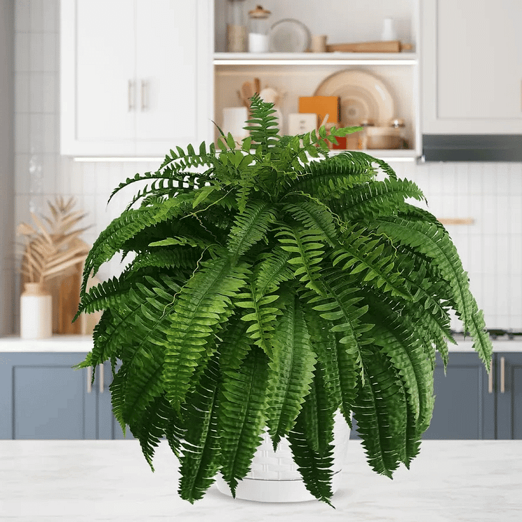 Hanging Faux Fern Plant Set – UV-Proof Outdoor Greenery 18-Piece Waterproof Vine Bundle for Patio Pergola Fence Garden Porch Decor Indoor | Thomler