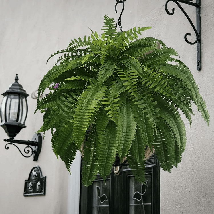 Hanging Faux Fern Plant Set – UV-Proof Outdoor Greenery 18-Piece Waterproof Vine Bundle for Patio Pergola Fence Garden Porch Decor Indoor | Thomler