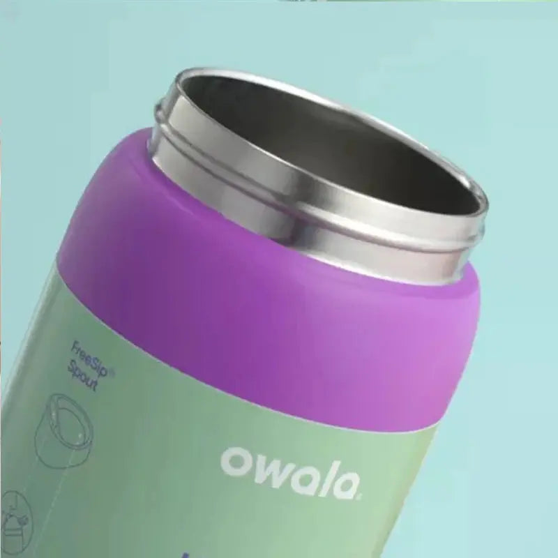 24 oz Insulated Stainless Steel Water Bottle with Dual-Sip Lid and Carry Handle for Sports, Gym, Hiking & Everyday Hydration | Thomler