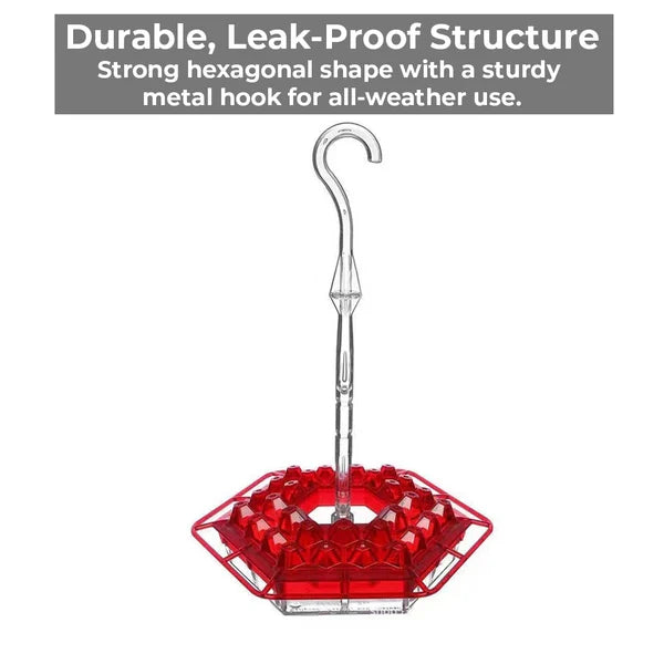 Hexagonal Nectar Station for Hummingbirds – 30 Feeding Openings, Built-In Insect Barrier, 12 oz Capacity, Weather-Proof Design for | Thomler