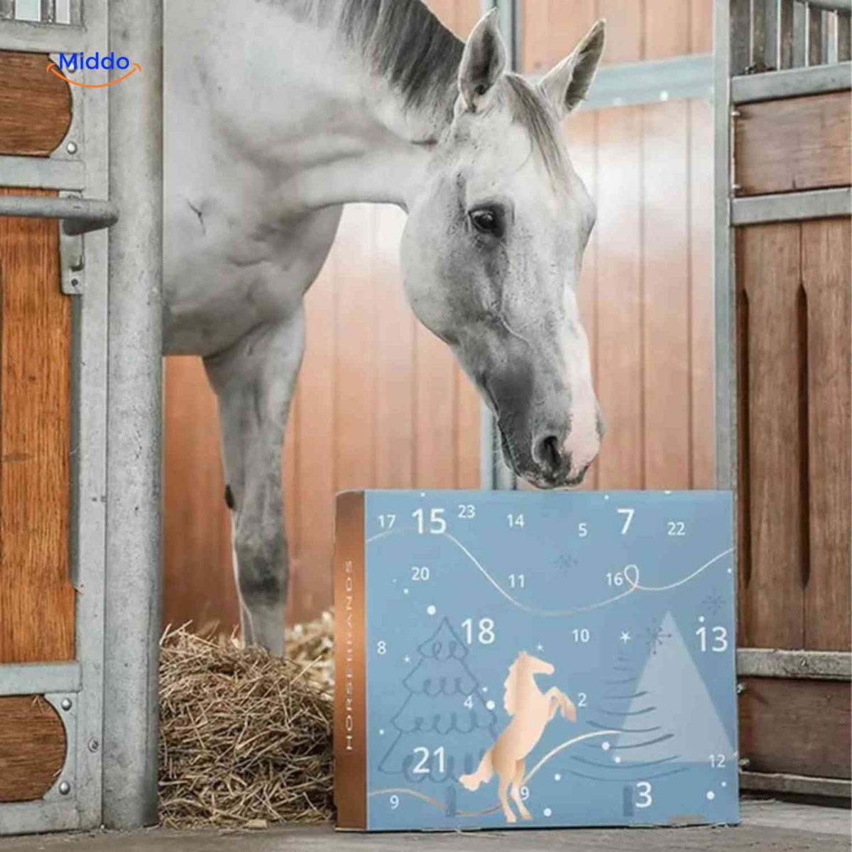 Horse Lover's Advent Calendar – 24 Daily Equestrian Trinkets & Charms for December Countdown | Thomler