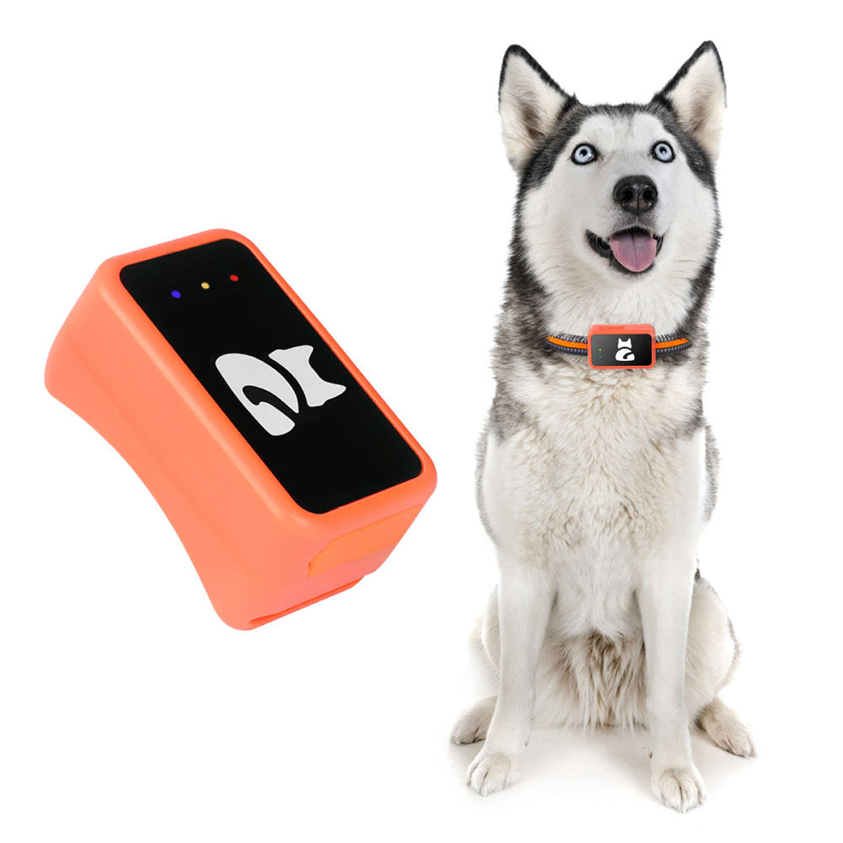 Real-Time Cat & Dog Location Monitor with Geo-Fence Alerts – Lightweight Wearable Pet Finder for Indoor & Outdoor Safety | Thomler