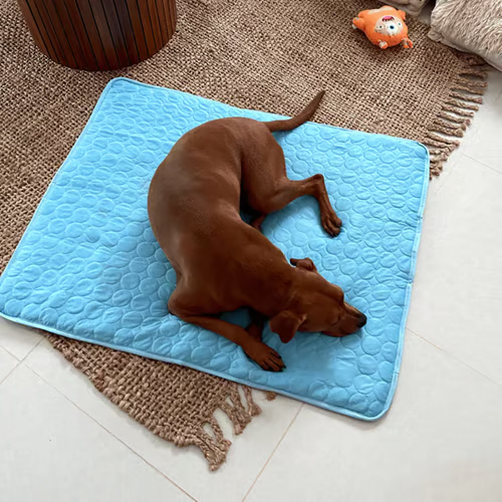 Self-Cooling Dog Mat | Gel-Free Heat Relief Pad for Summer | Machine Washable | 6 Sizes for Small to Large Dogs | Thomler