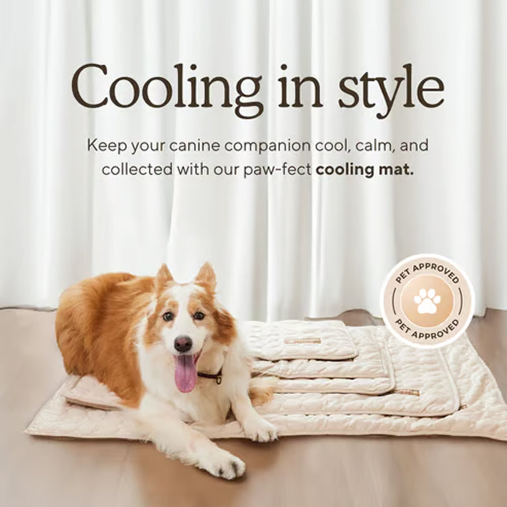 Self-Cooling Dog Mat | Gel-Free Heat Relief Pad for Summer | Machine Washable | 6 Sizes for Small to Large Dogs | Thomler