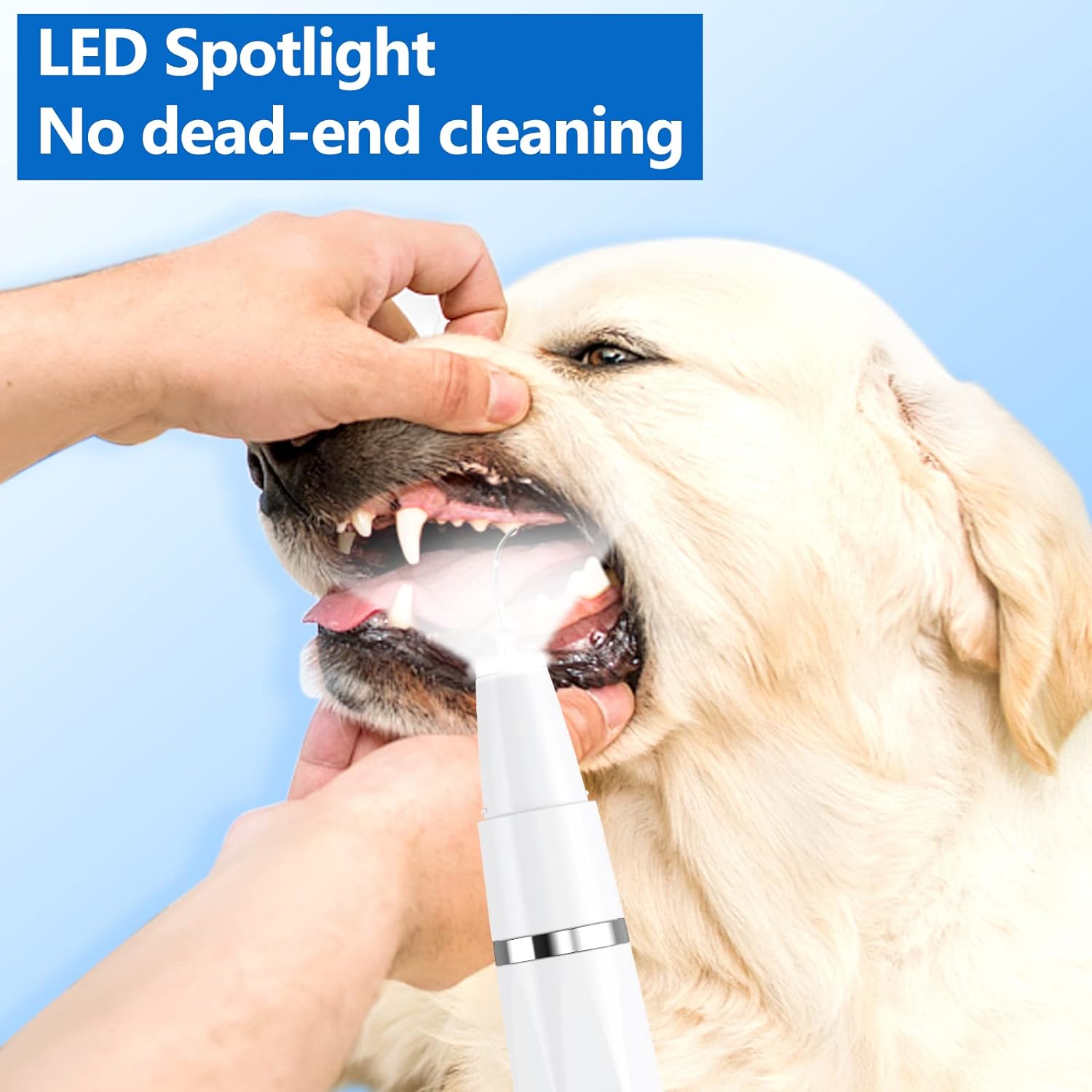 Ultrasonic Dog & Cat Dental Scaler for Home Use – Rechargeable Pet Tooth Cleaning Tool for Tartar & Plaque | Thomler