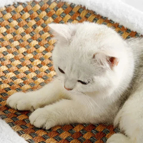 Cat Scratcher Bed with Plush Cushion and Scratch Surface for Indoor Cats, Cozy Lounge and Claw Pad Combo for Furniture Protection | Thomler