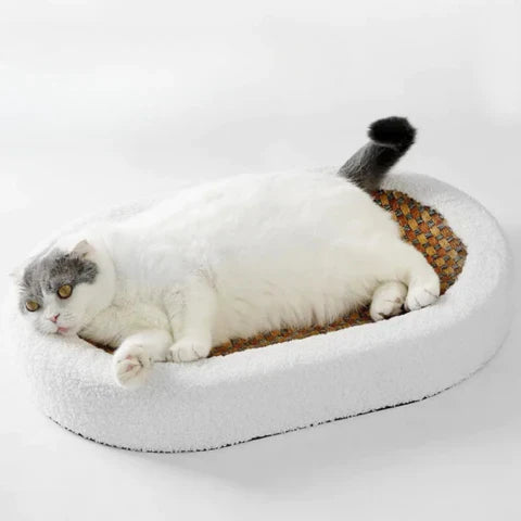 Cat Scratcher Bed with Plush Cushion and Scratch Surface for Indoor Cats, Cozy Lounge and Claw Pad Combo for Furniture Protection | Thomler