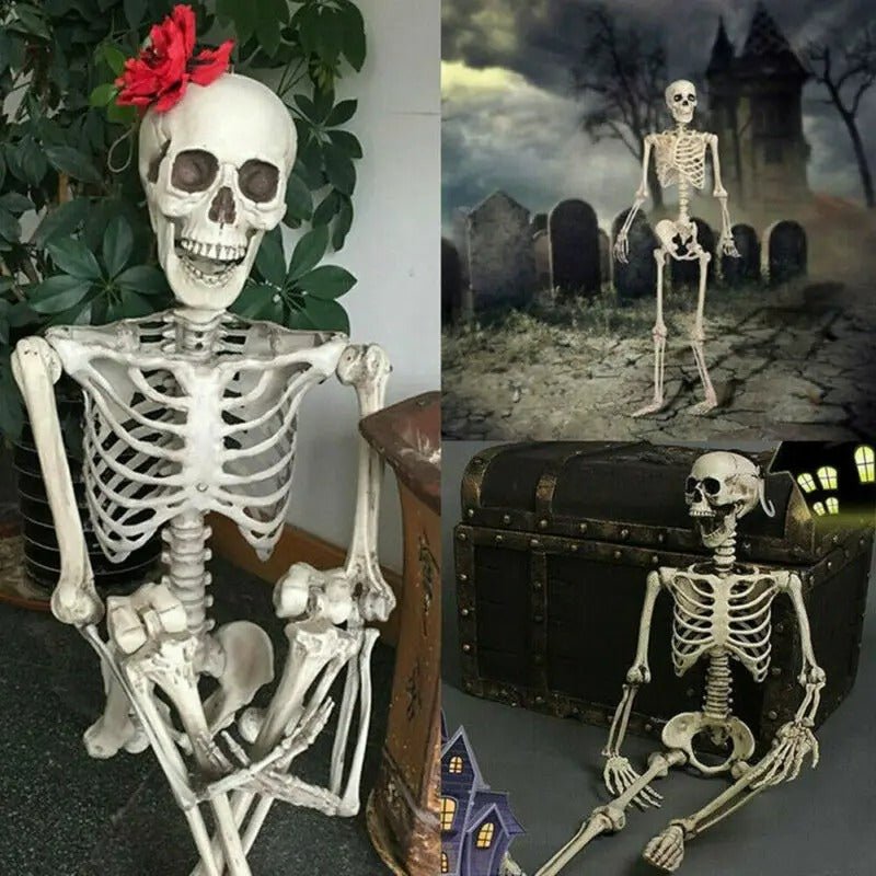 Articulated Halloween Skeleton Figure – Life-Size Posable Bone Decoration for Spooky Scenes & Haunted House Displays | Thomler