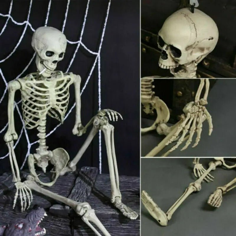Articulated Halloween Skeleton Figure – Life-Size Posable Bone Decoration for Spooky Scenes & Haunted House Displays | Thomler