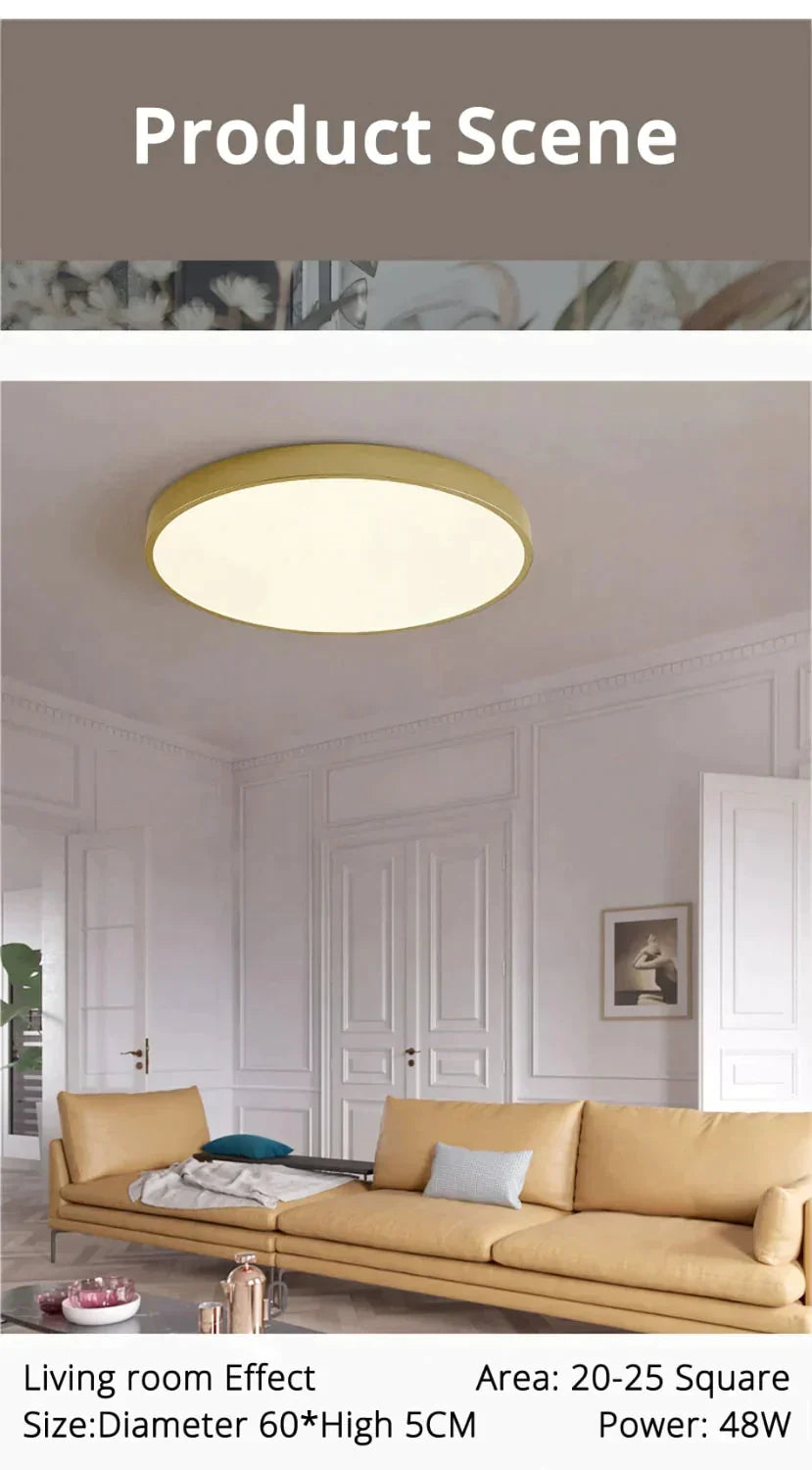 Dimmable LED Ceiling Light Fixture with Remote Control – Modern Flush Mount Design for Bedroom, Living Room & Kitchen | Thomler