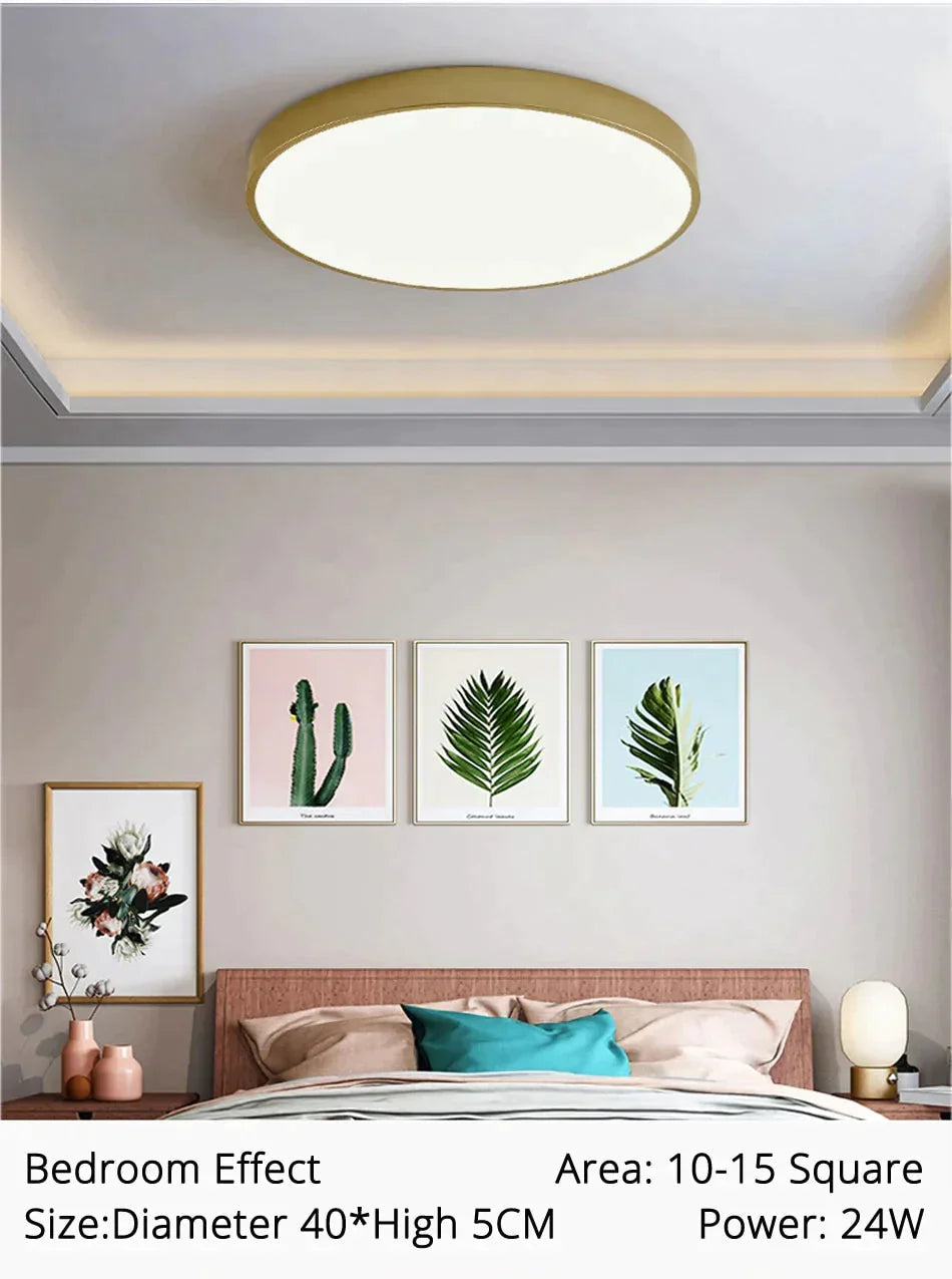 Dimmable LED Ceiling Light Fixture with Remote Control – Modern Flush Mount Design for Bedroom, Living Room & Kitchen | Thomler