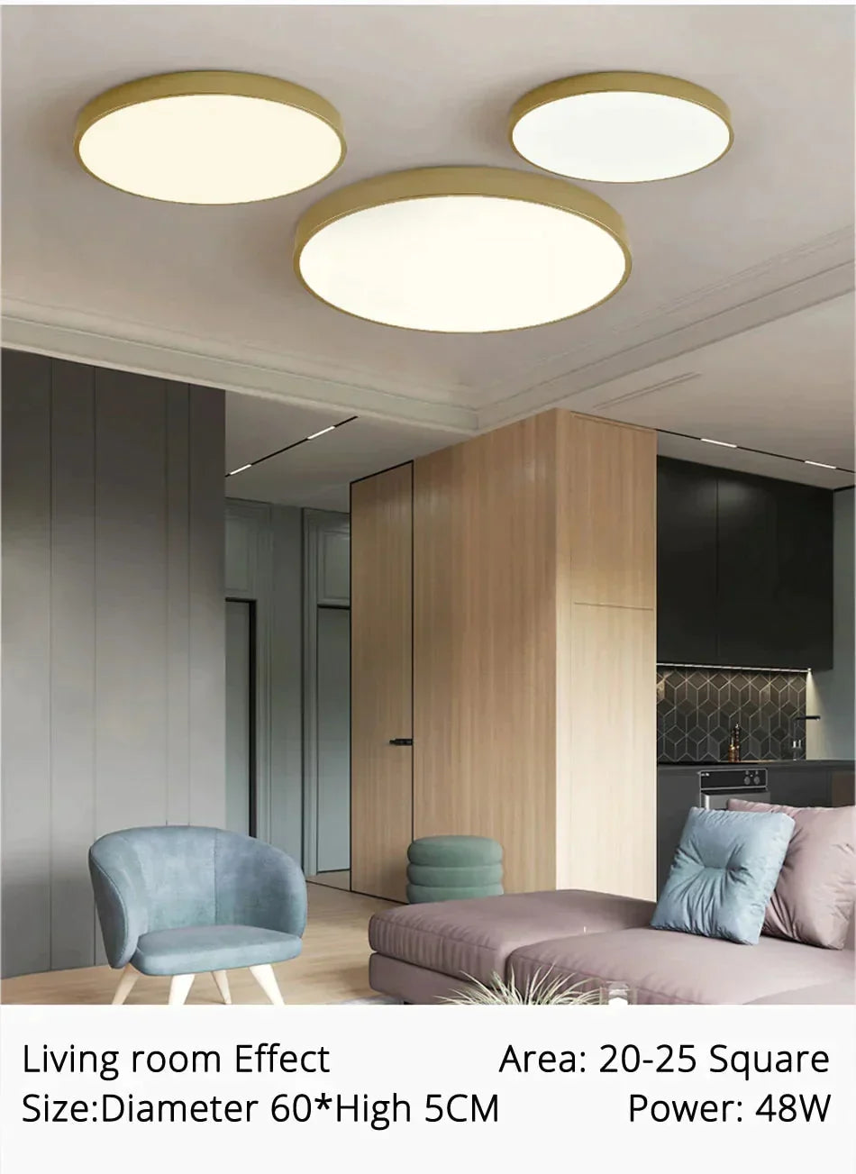 Dimmable LED Ceiling Light Fixture with Remote Control – Modern Flush Mount Design for Bedroom, Living Room & Kitchen | Thomler