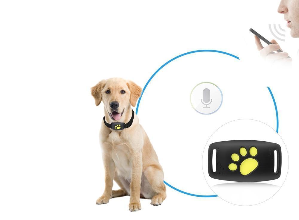 GPS Tracker ABS 2.0 cm x 2.0 cm Cat Tracking Real Time Satellite Location Monitor Pet Finder No Subscription Required | Thomler