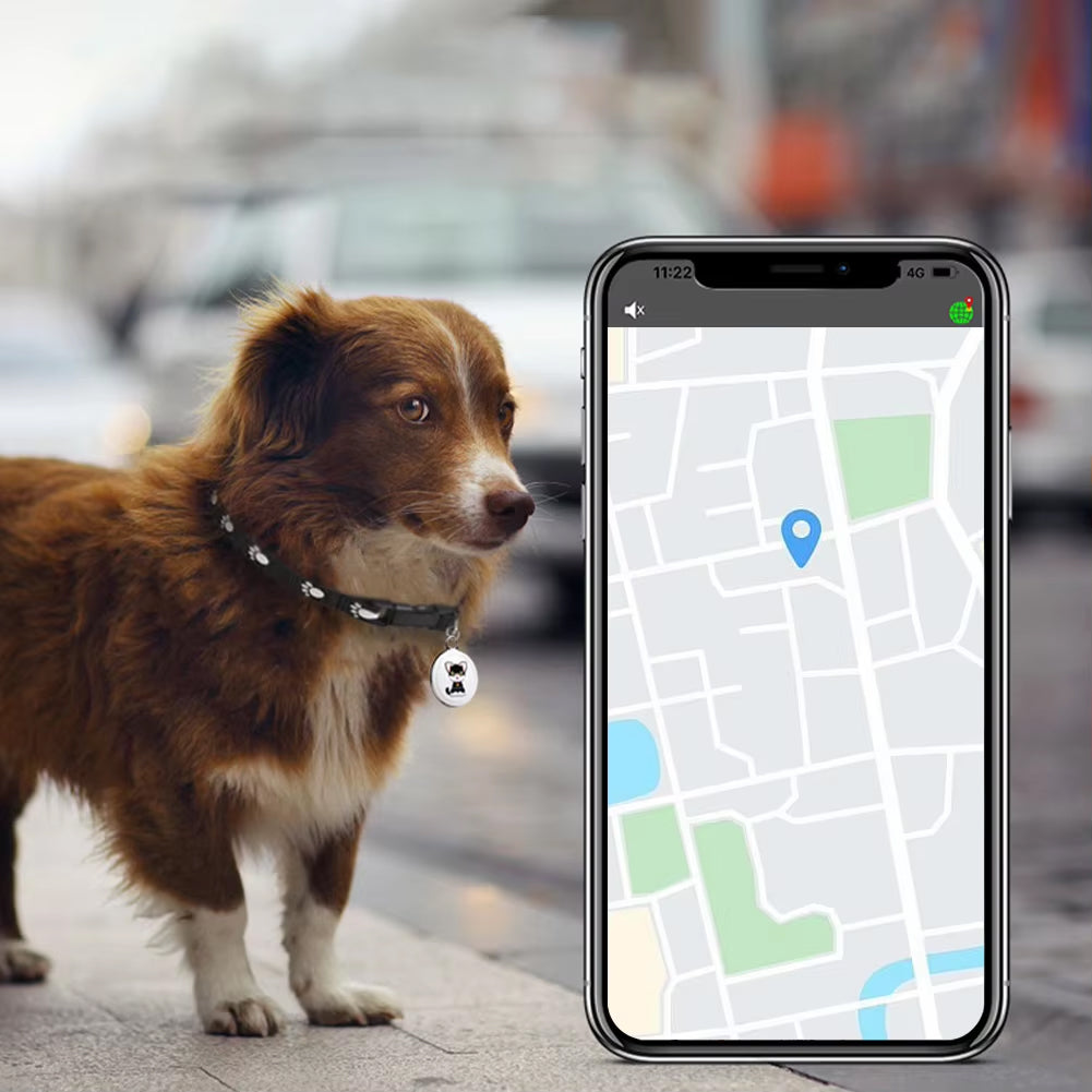 Bluetooth Cat Locator Tag with GPS Positioning and Sound Alert for Indoor & Outdoor Felines | Thomler