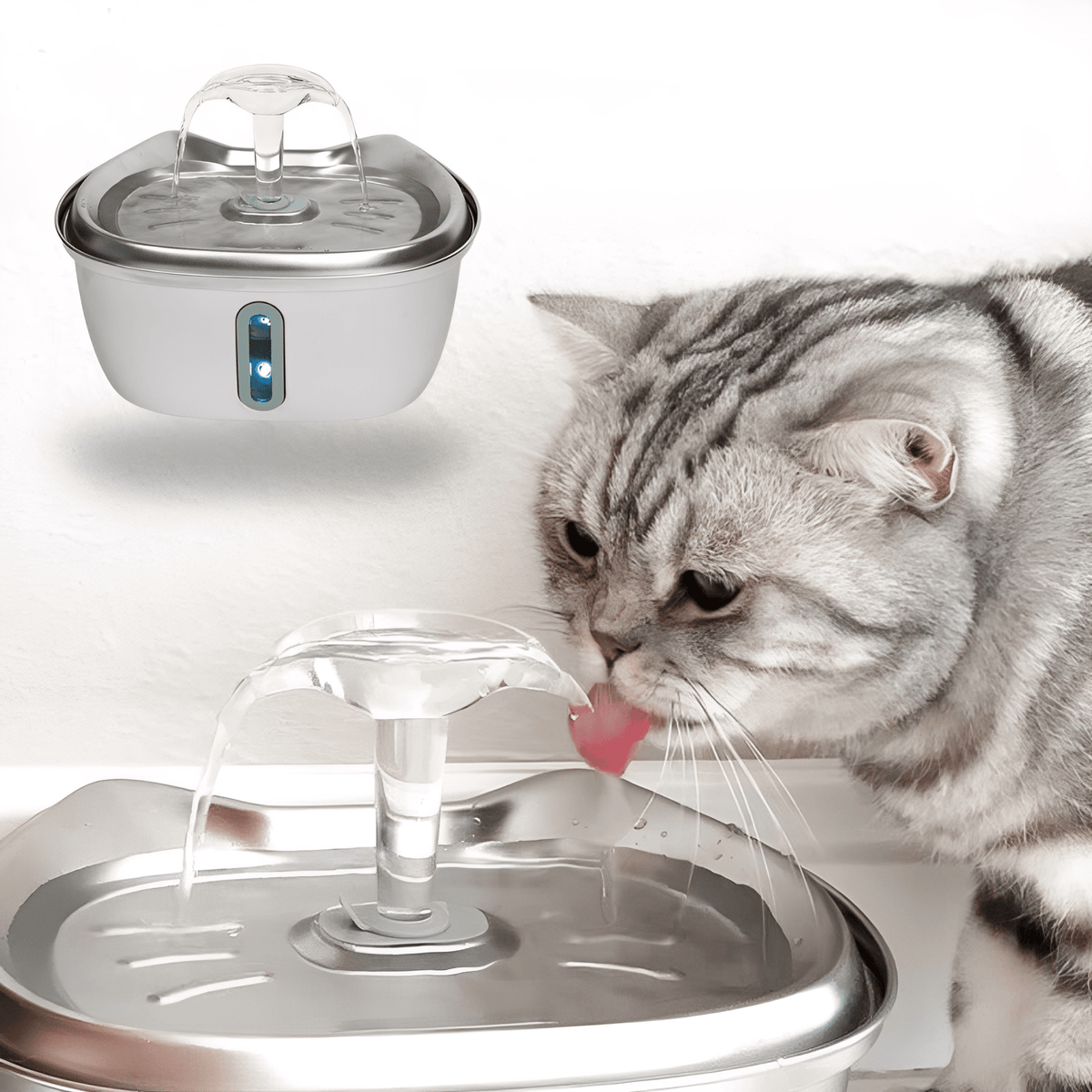 Stainless Steel Pet Water Fountain with Filter 3 Liter Automatic Flow for Cats & Small Dogs | Thomler