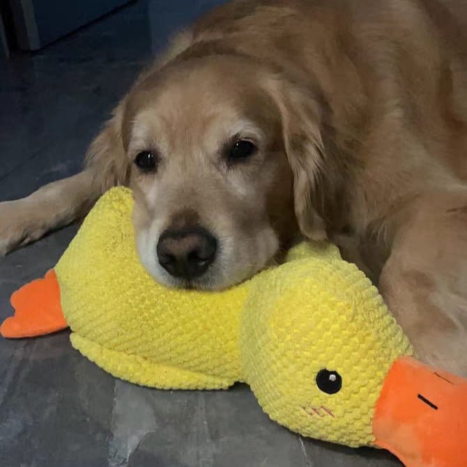 Dog Toy Plush Duck Quack Sound Soft Chew Tug Play Interactive Pet Toy | Thomler