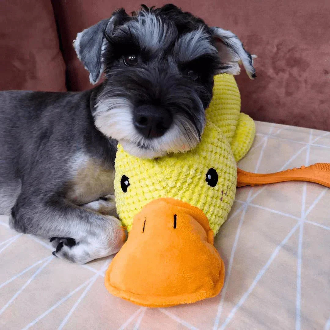 Dog Toy Plush Duck Quack Sound Soft Chew Tug Play Interactive Pet Toy | Thomler